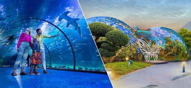 The National Aquarium Abu Dhabi: An Underwater Escape with Up to 30% Off